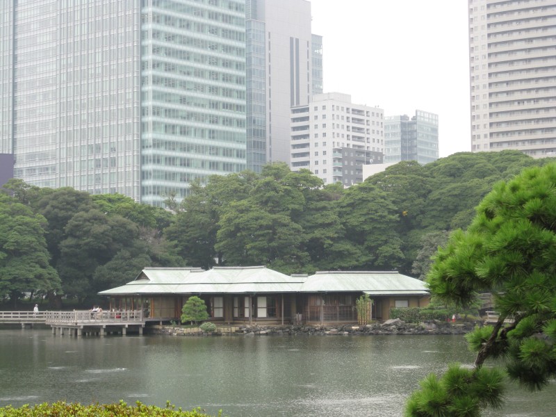 tokyo_bay_cajovna.jpg